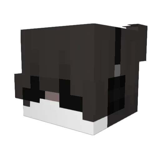 zelosz Minecraft avatar head, 3D render