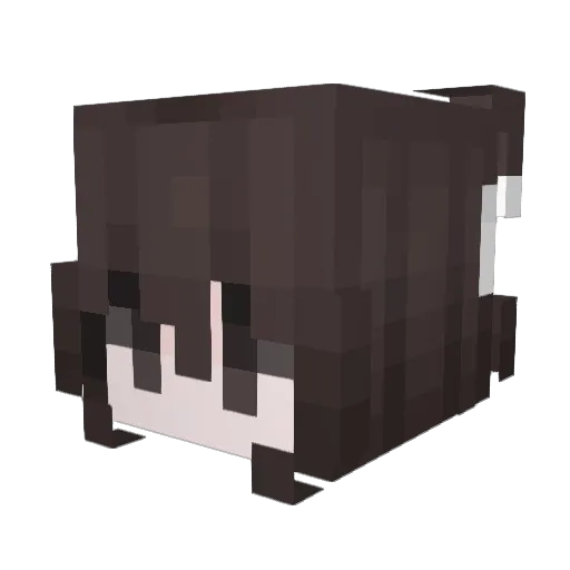 zelyxr Minecraft avatar head, 3D render
