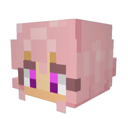 zemh Minecraft avatar head, 3D render
