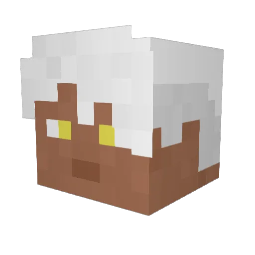 zemin9701 Minecraft avatar head, 3D render