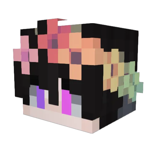 zenathur2771 Minecraft avatar head, 3D render