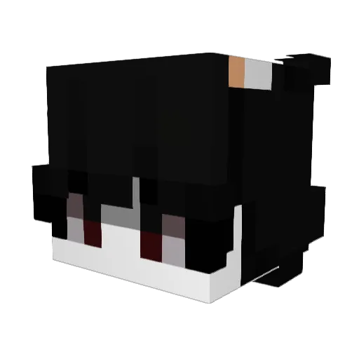 zenek_zero Minecraft avatar head, 3D render