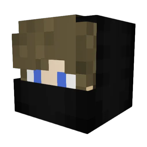 zenety1_ Minecraft avatar head, 3D render