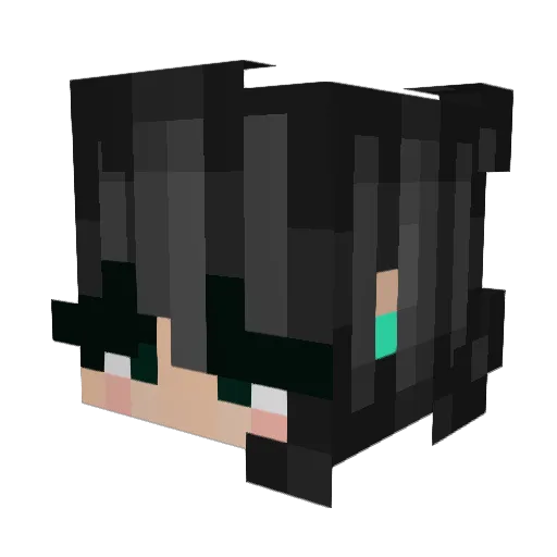 zenin101 Minecraft avatar head, 3D render