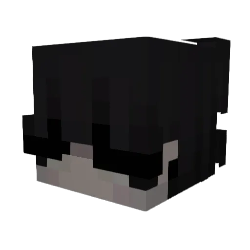zeninzx Minecraft avatar head, 3D render