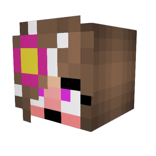 zenith3999 Minecraft avatar head, 3D render