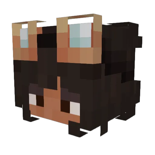 zenith_14 Minecraft avatar head, 3D render