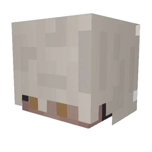 zenix76 Minecraft avatar head, 3D render