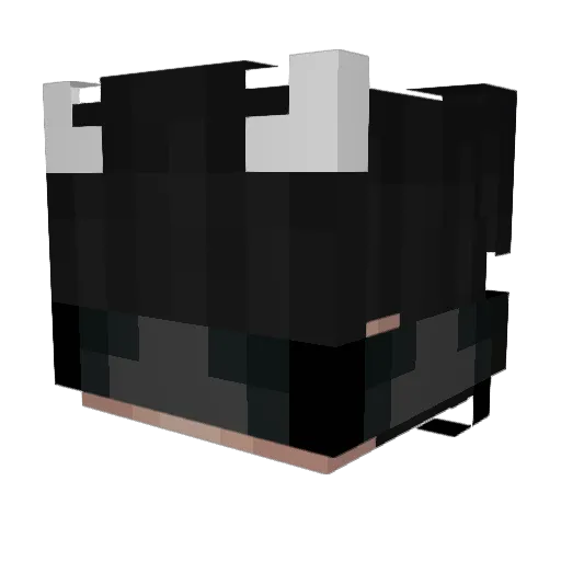 zenixcpvp Minecraft avatar head, 3D render