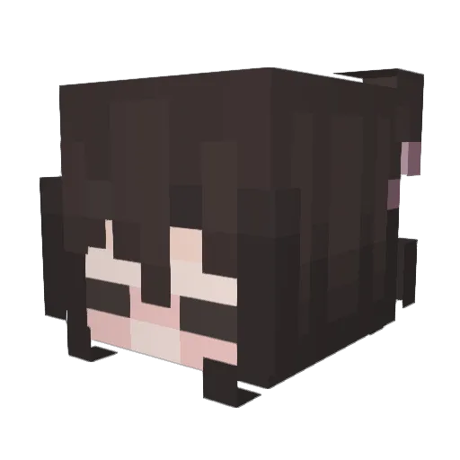 zenneful Minecraft avatar head, 3D render