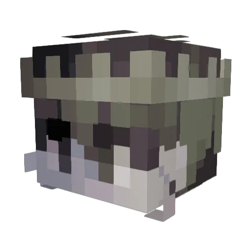 zenniunknwn Minecraft avatar head, 3D render