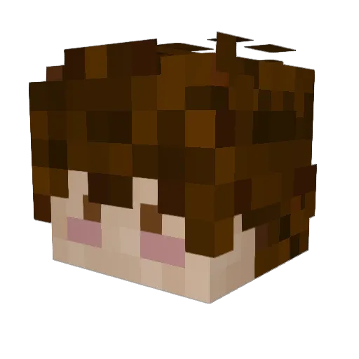 zennyfreak Minecraft avatar head, 3D render