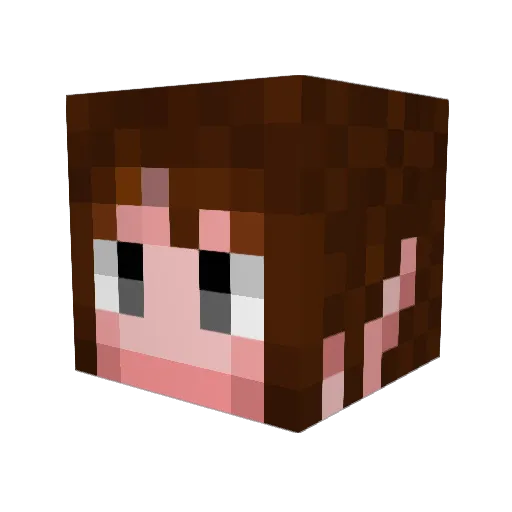 zenocchi Minecraft avatar head, 3D render
