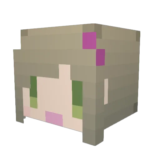 zenon1138 Minecraft avatar head, 3D render