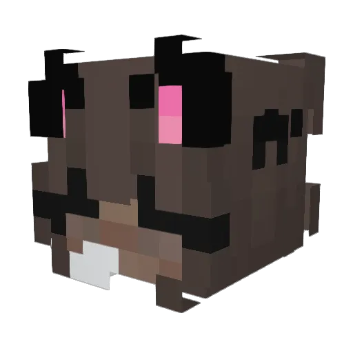 zenvlk Minecraft avatar head, 3D render