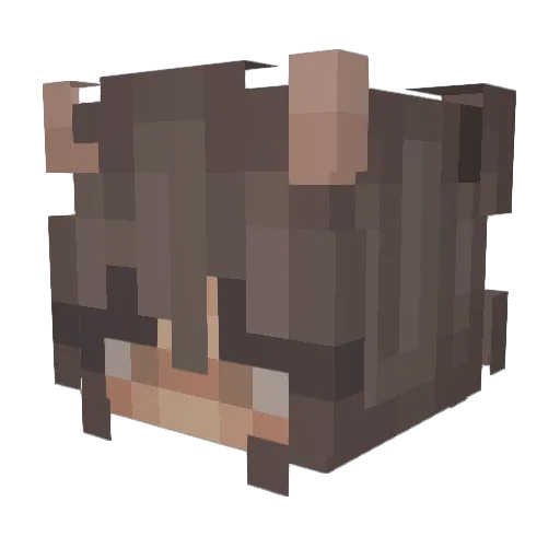zenyrdreams Minecraft avatar head, 3D render