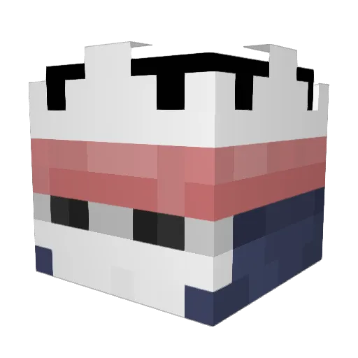 zenyusz Minecraft avatar head, 3D render