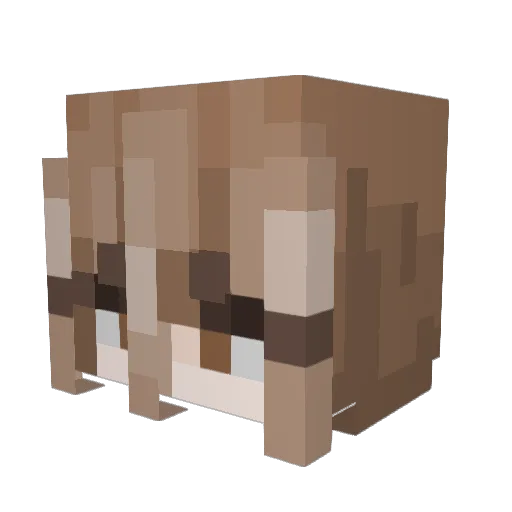 zenzesama Minecraft avatar head, 3D render