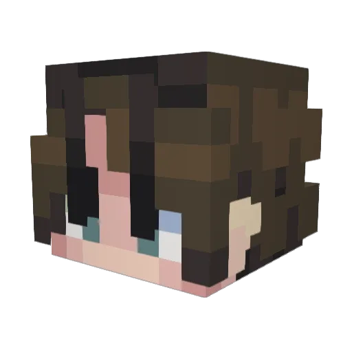 zeor3812 Minecraft avatar head, 3D render