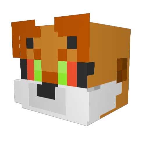 zephryn6502 Minecraft avatar head, 3D render