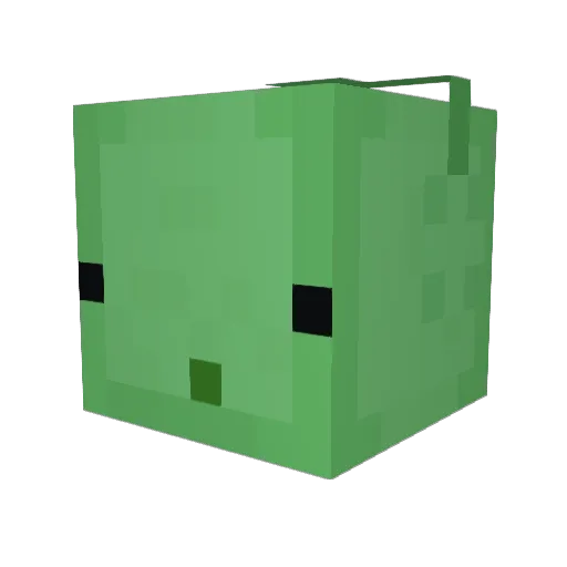 zephyr2763 Minecraft avatar head, 3D render