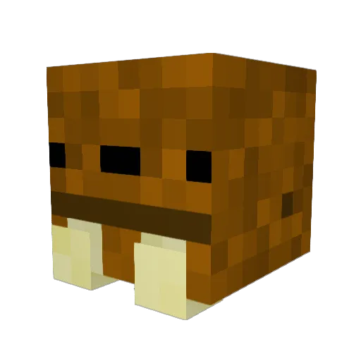 zeppalien Minecraft avatar head, 3D render