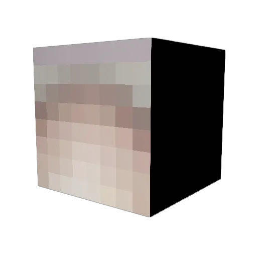 zeppelin_fan123 Minecraft avatar head, 3D render