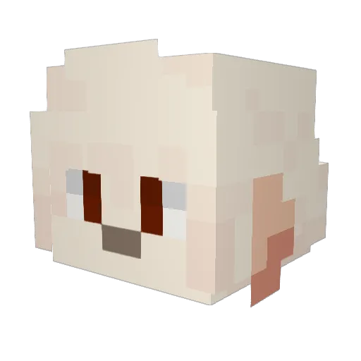 zeprobr Minecraft avatar head, 3D render