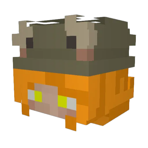 zer0skillzzz Minecraft avatar head, 3D render