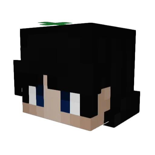 zeraverysus Minecraft avatar head, 3D render