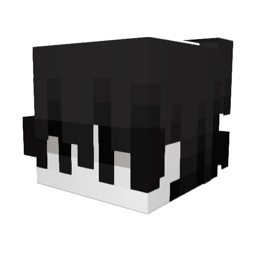 zerexia Minecraft avatar head, 3D render