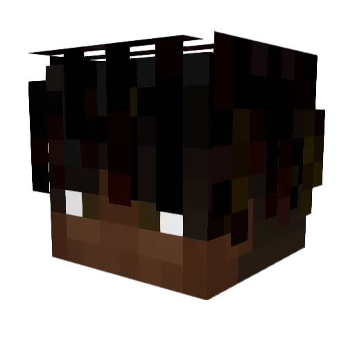 zerli_ Minecraft avatar head, 3D render