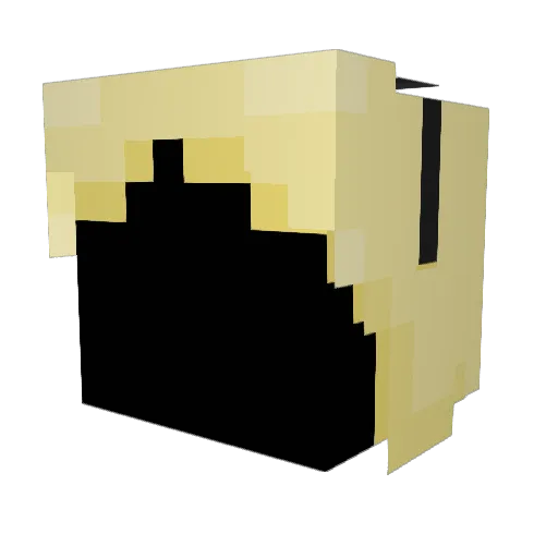 zero_iri Minecraft avatar head, 3D render