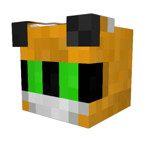 zerocoolns Minecraft avatar head, 3D render