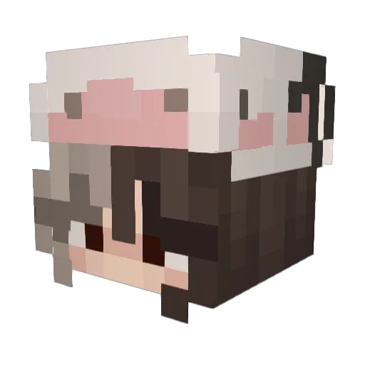 zerocupcake Minecraft avatar head, 3D render