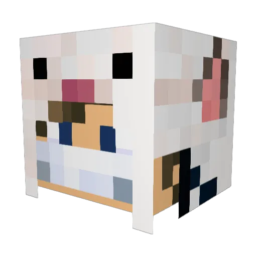 zeroeu_ Minecraft avatar head, 3D render
