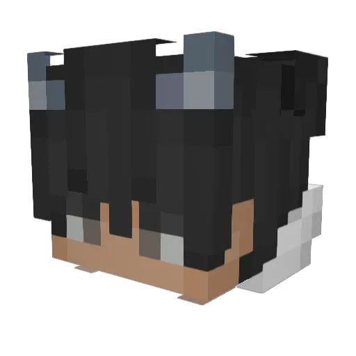 zerofosh Minecraft avatar head, 3D render
