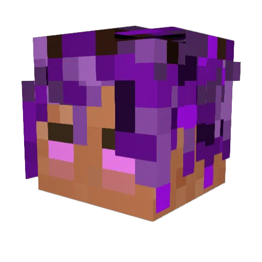 zerol0ve Minecraft avatar head, 3D render