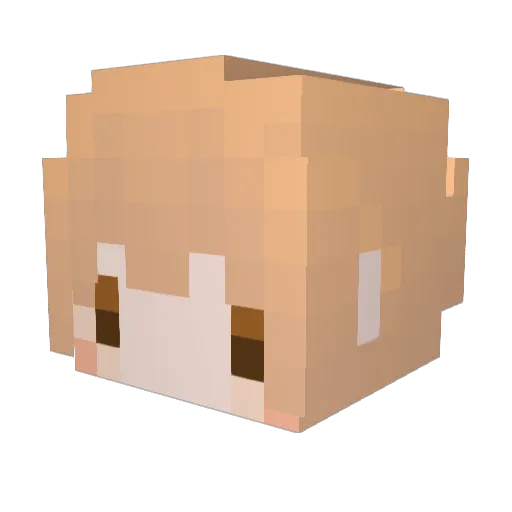 zeronightmaresky Minecraft avatar head, 3D render