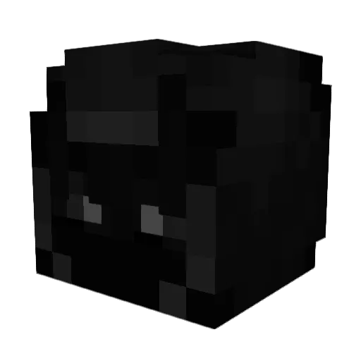 zerox0311 Minecraft avatar head, 3D render