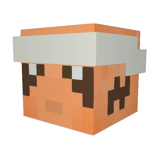 zeroxster Minecraft avatar head, 3D render