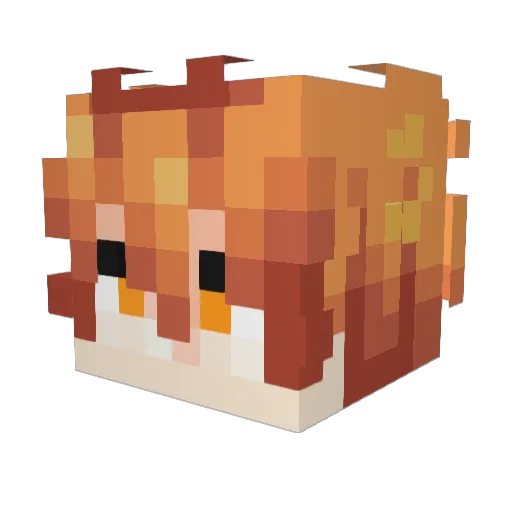 zerqqqqq Minecraft avatar head, 3D render