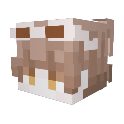 zerz5 Minecraft avatar head, 3D render