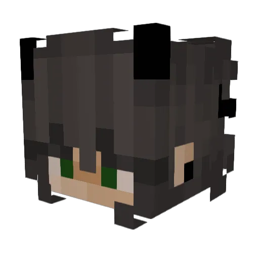 zesor69 Minecraft avatar head, 3D render