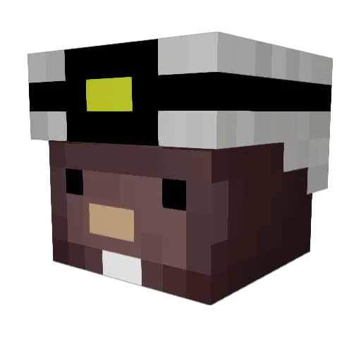 zest39 Minecraft avatar head, 3D render