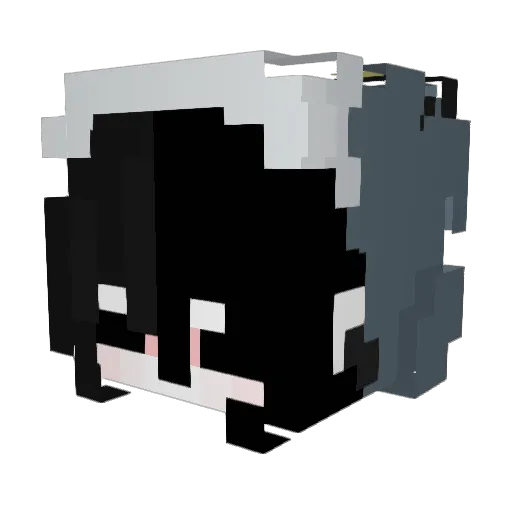 zeta6262 Minecraft avatar head, 3D render