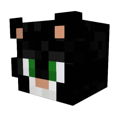 zetabru Minecraft avatar head, 3D render
