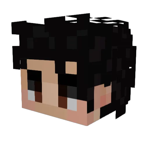 zetoshsin Minecraft avatar head, 3D render