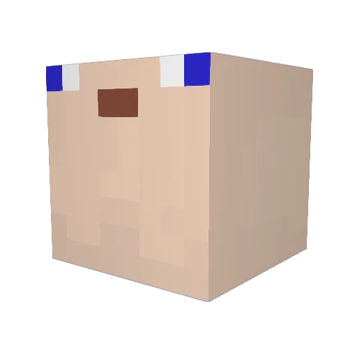 zetroix1337 Minecraft avatar head, 3D render