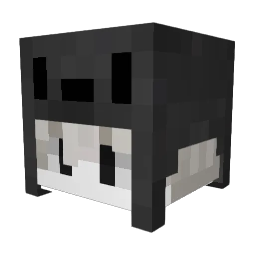 zett48 Minecraft avatar head, 3D render